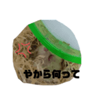 プラトン スタンプ（個別スタンプ：8）