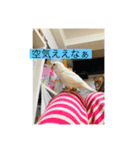 オリキャら（個別スタンプ：6）