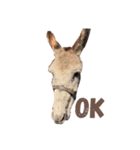 愛想のいい動物たち（個別スタンプ：4）