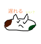 ミー家ちゃん（個別スタンプ：7）