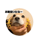 私の名前はアンです。（個別スタンプ：10）
