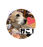 私の名前はアンです。（個別スタンプ：15）