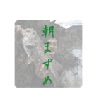 釣りバカ言語（個別スタンプ：2）