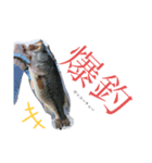 釣りバカ言語（個別スタンプ：6）