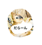 可愛いうさぎの日常スタンプ（個別スタンプ：1）