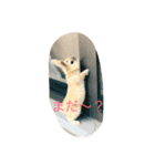 可愛いうさぎの日常スタンプ（個別スタンプ：3）