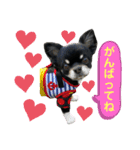黒蜜くん（個別スタンプ：2）