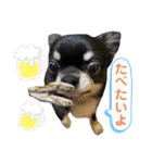 黒蜜くん（個別スタンプ：16）