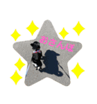 黒蜜くん（個別スタンプ：23）