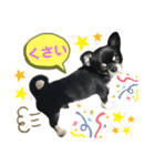 黒蜜くん（個別スタンプ：25）