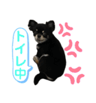 黒蜜くん（個別スタンプ：27）
