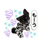 黒蜜くん（個別スタンプ：32）