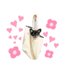 黒蜜くん（個別スタンプ：36）