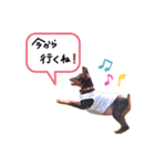 ☻こたりこ☺︎（個別スタンプ：3）