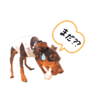 ☻こたりこ☺︎（個別スタンプ：5）