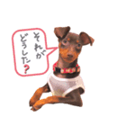 ☻こたりこ☺︎（個別スタンプ：8）