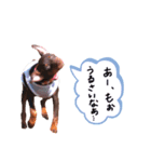 ☻こたりこ☺︎（個別スタンプ：10）
