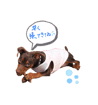 ☻こたりこ☺︎（個別スタンプ：11）