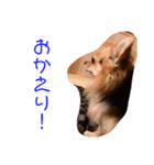 アイドル「トトくん」（個別スタンプ：9）