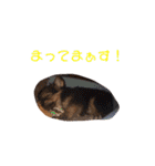 アイドル「トトくん」（個別スタンプ：12）