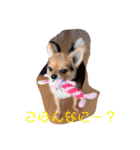アイドル「トトくん」（個別スタンプ：26）