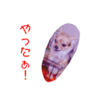 アイドル「トトくん」（個別スタンプ：39）