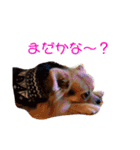 アイドル「トトくん」（個別スタンプ：40）