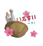 白茶猫 ラテ君の気ままなスタンプ生活ver1（個別スタンプ：30）