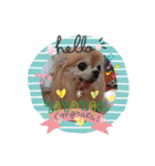 福ちゃん♡春ちゃん❷（個別スタンプ：1）