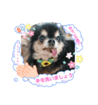 福ちゃん♡春ちゃん❷（個別スタンプ：3）