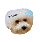 わたあめ②（個別スタンプ：6）