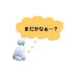 わたあめ②（個別スタンプ：13）