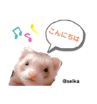 毎日、つくね。(敬語)（個別スタンプ：2）