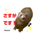 毎日、つくね。(敬語)（個別スタンプ：3）