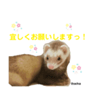 毎日、つくね。(敬語)（個別スタンプ：6）