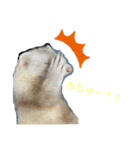 毎日、つくね。(敬語)（個別スタンプ：7）