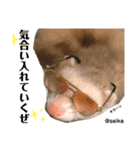 毎日、つくね。(敬語)（個別スタンプ：8）