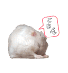 マウスタンプぅ（個別スタンプ：6）