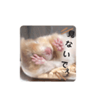 マウスタンプぅ（個別スタンプ：19）