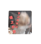 マウスタンプぅ（個別スタンプ：21）