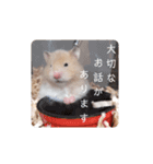 マウスタンプぅ（個別スタンプ：23）