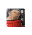 マウスタンプぅ（個別スタンプ：32）