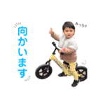 わいの子 スタンプ.（個別スタンプ：12）
