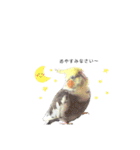 オカメインコのつばめちゃん（個別スタンプ：3）
