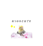 オカメインコのつばめちゃん（個別スタンプ：14）
