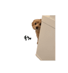 もふ男公式スタンプ（個別スタンプ：11）