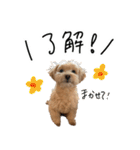 もふ男公式スタンプ（個別スタンプ：23）