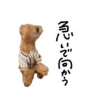 もふ男公式スタンプ（個別スタンプ：28）