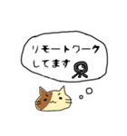 自粛用の猫（個別スタンプ：24）