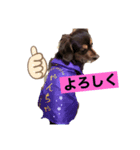 我が家の犬たち アミ マロン パル（個別スタンプ：2）